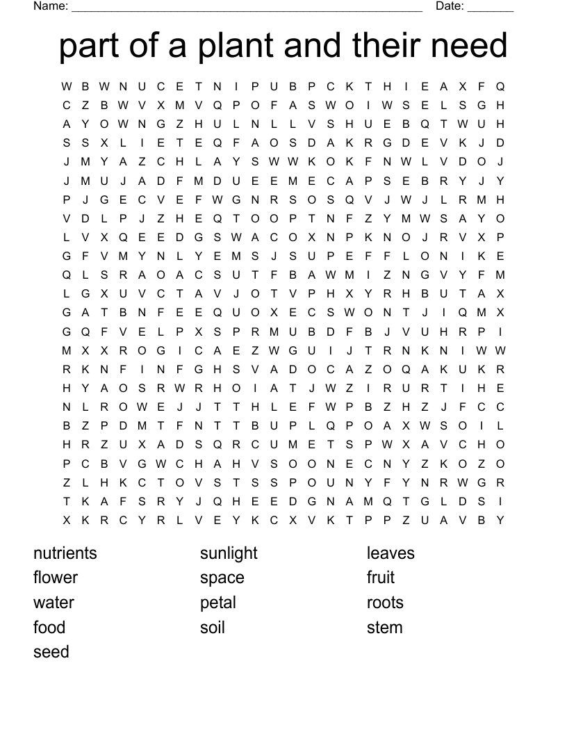 part of a plant and their need Word Search