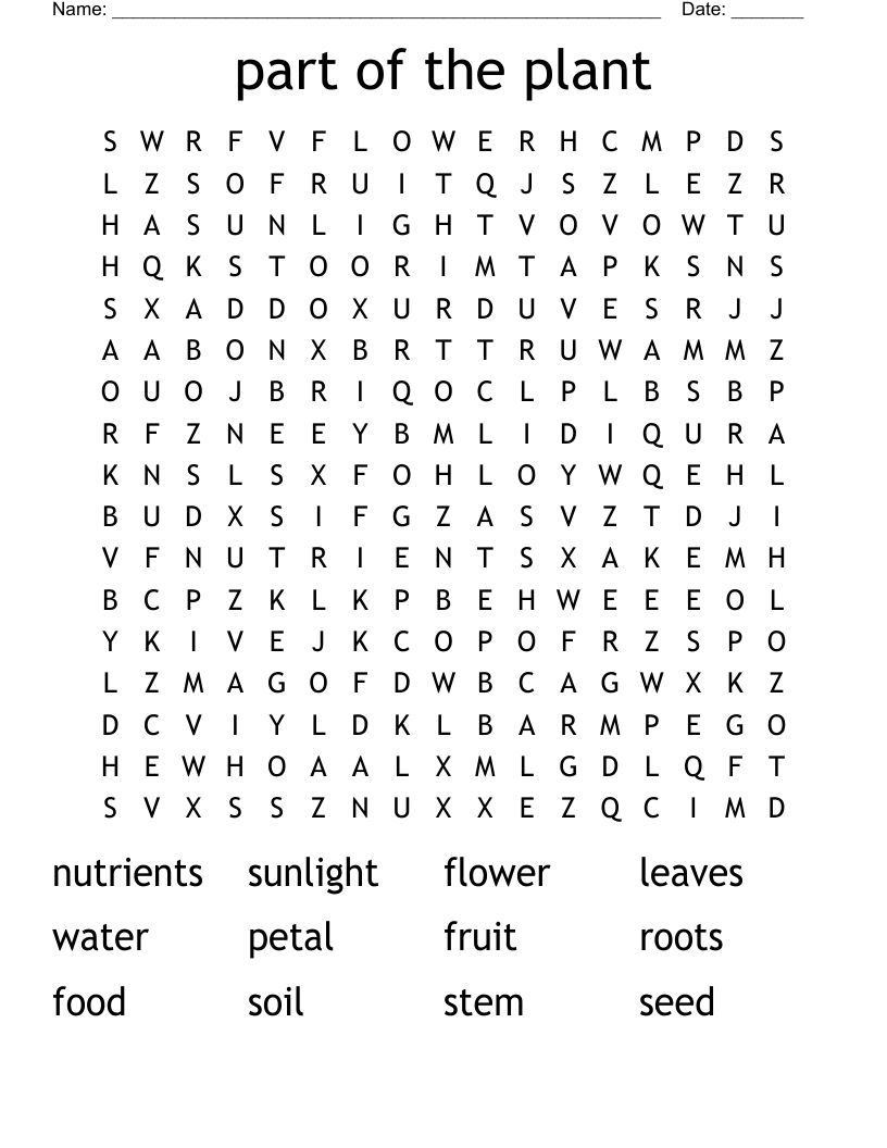 part of the plant Word Search