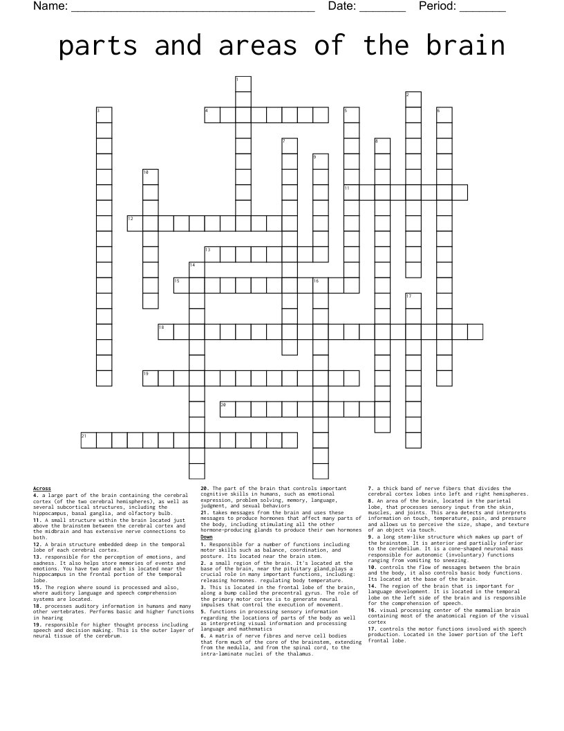 parts and areas of the brain Crossword