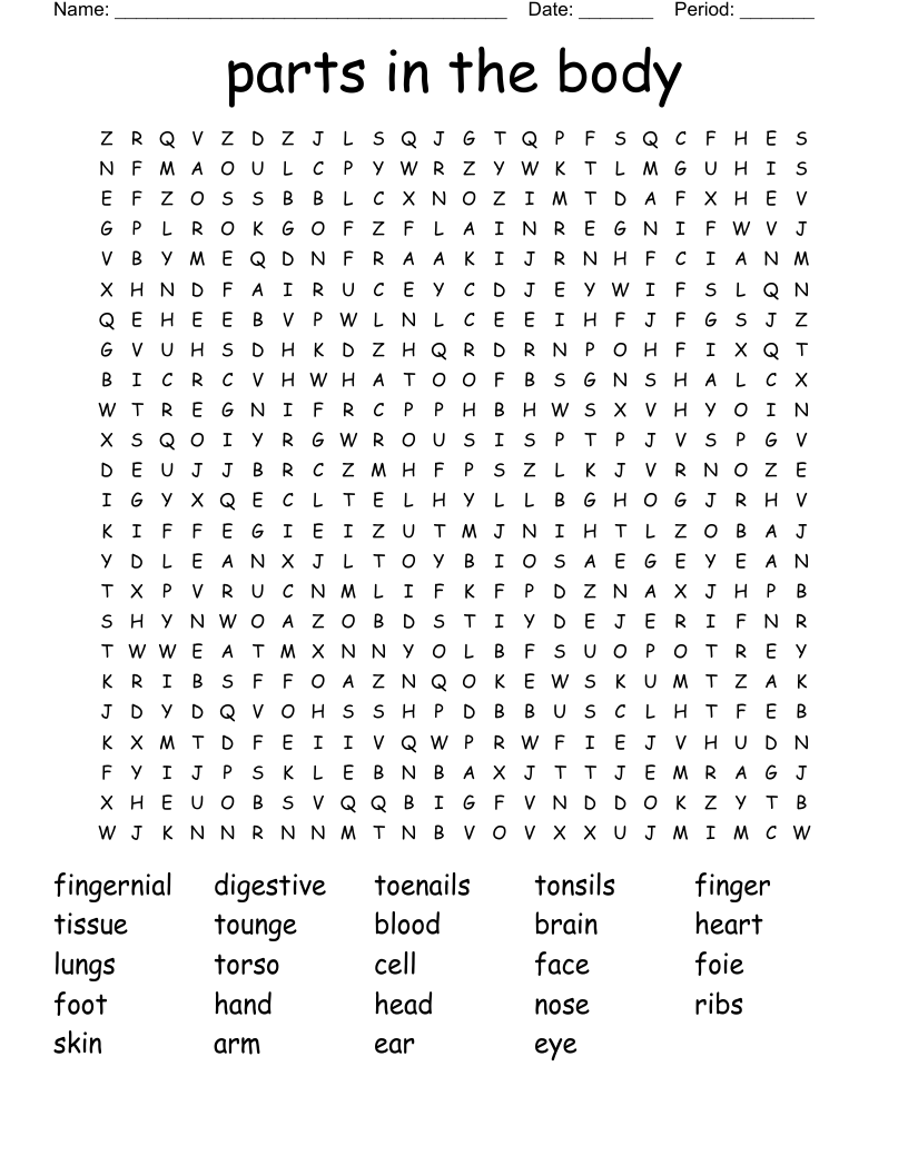 parts in the body Word Search