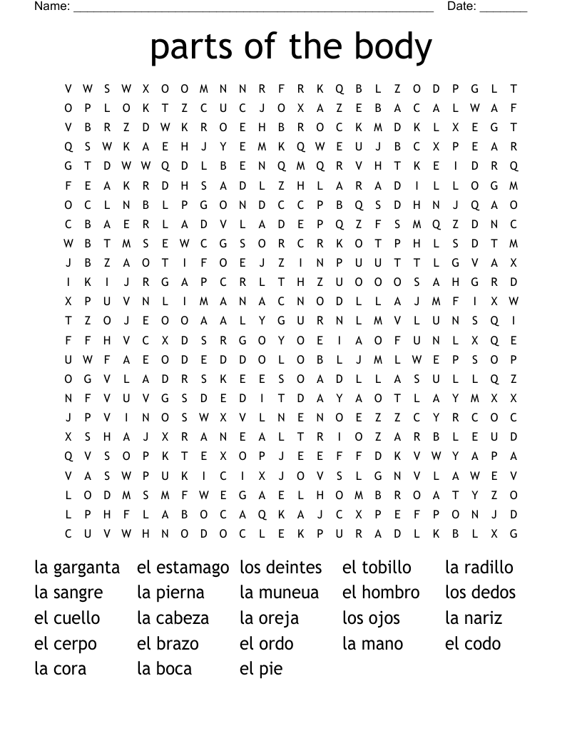 parts of the body  Word Search
