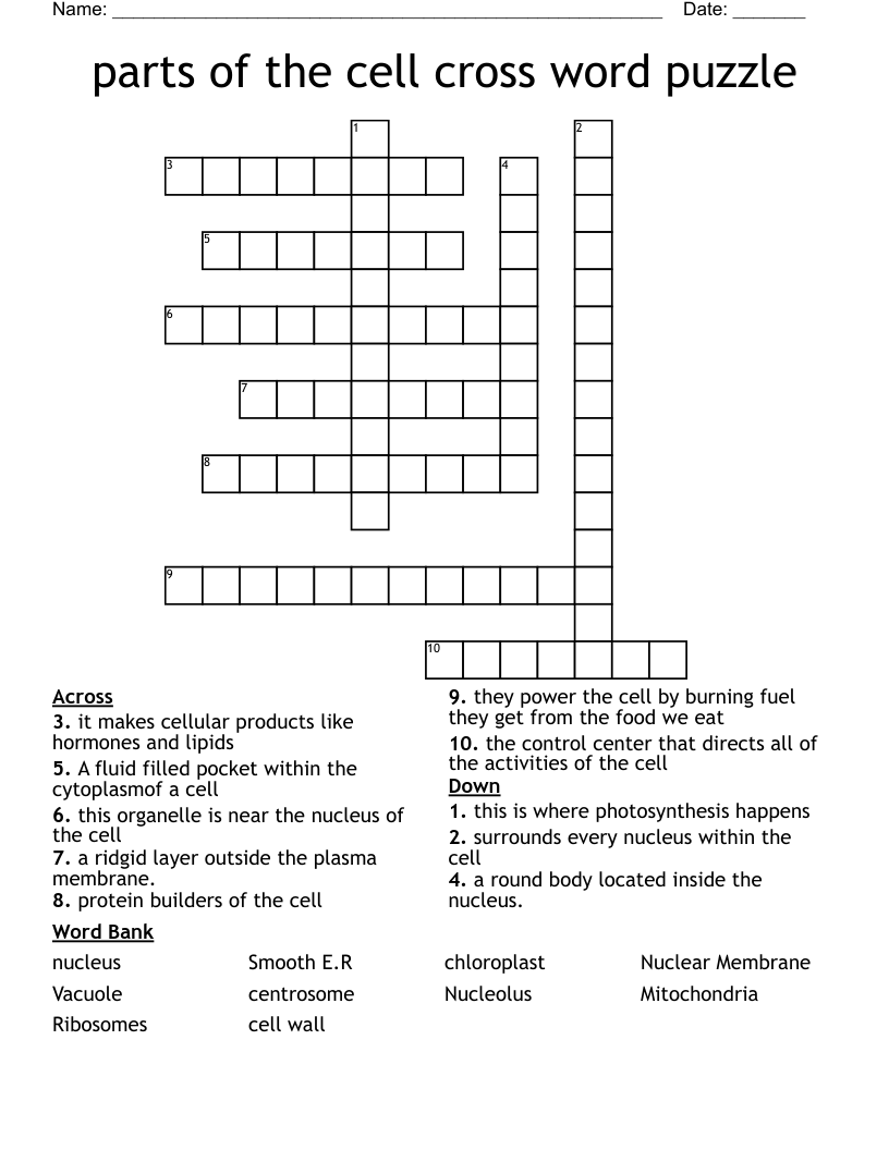 parts of the cell cross word puzzle