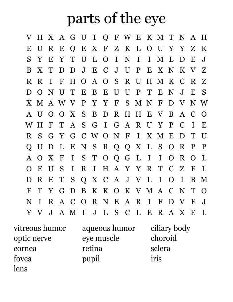parts of the eye Word Search