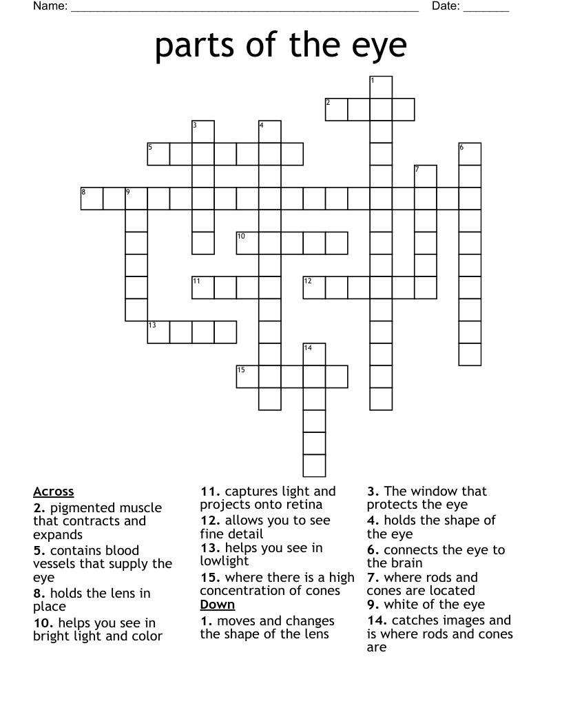 parts of the eye Crossword