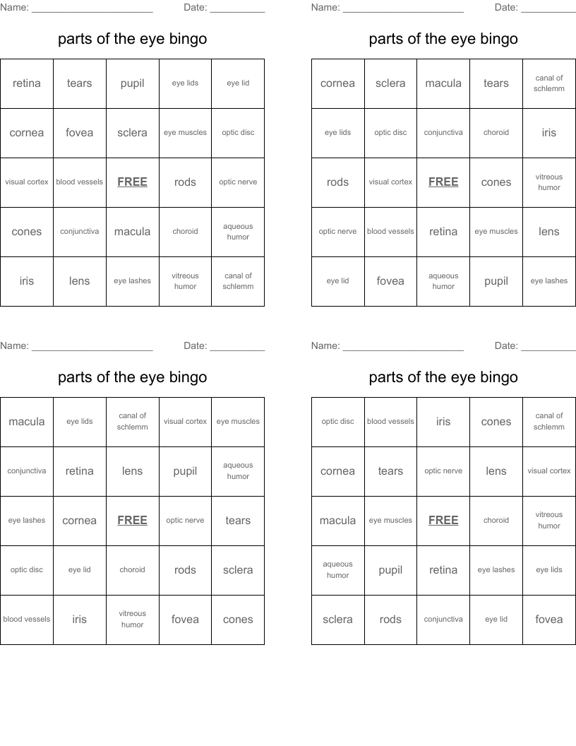 parts of the eye bingo 