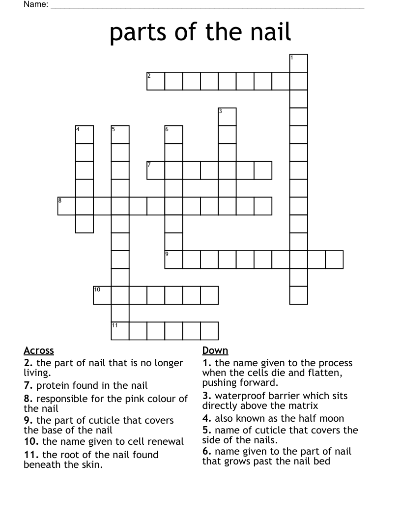 parts of the nail Crossword