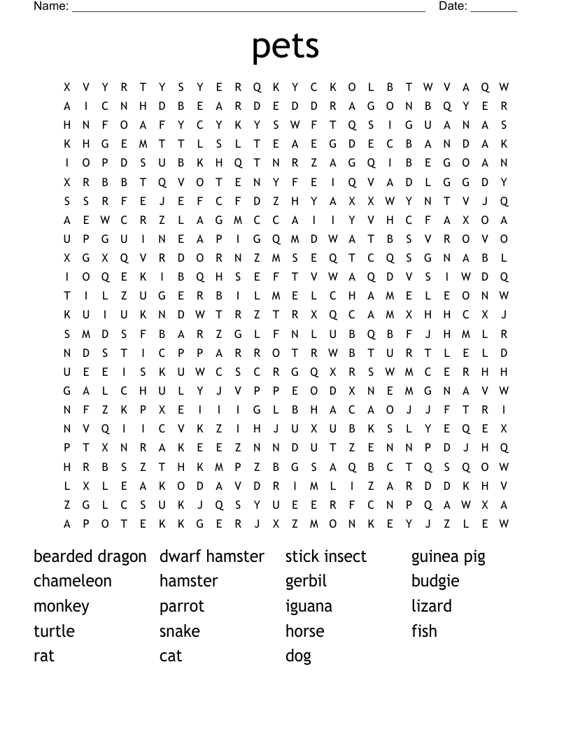 pets Word Search