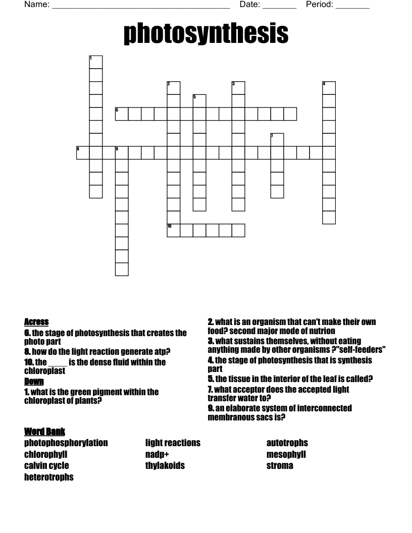 photosynthesis Crossword