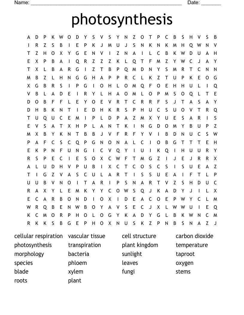photosynthesis Word Search