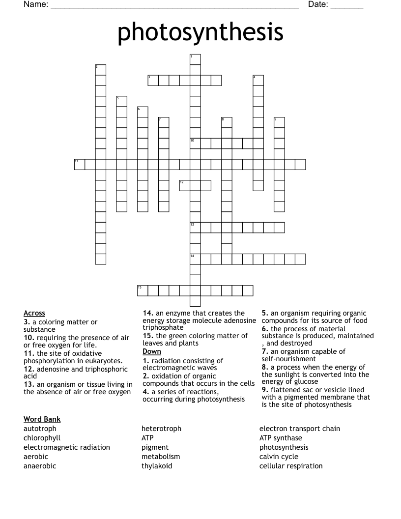 photosynthesis Crossword