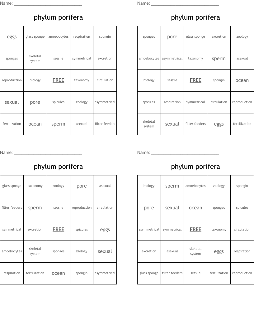 phylum  porifera Bingo Cards