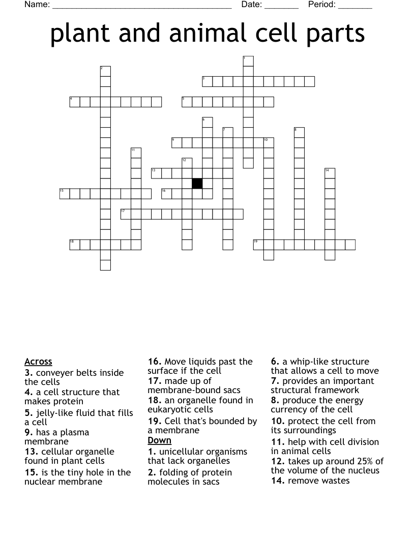 plant and animal cell parts Crossword
