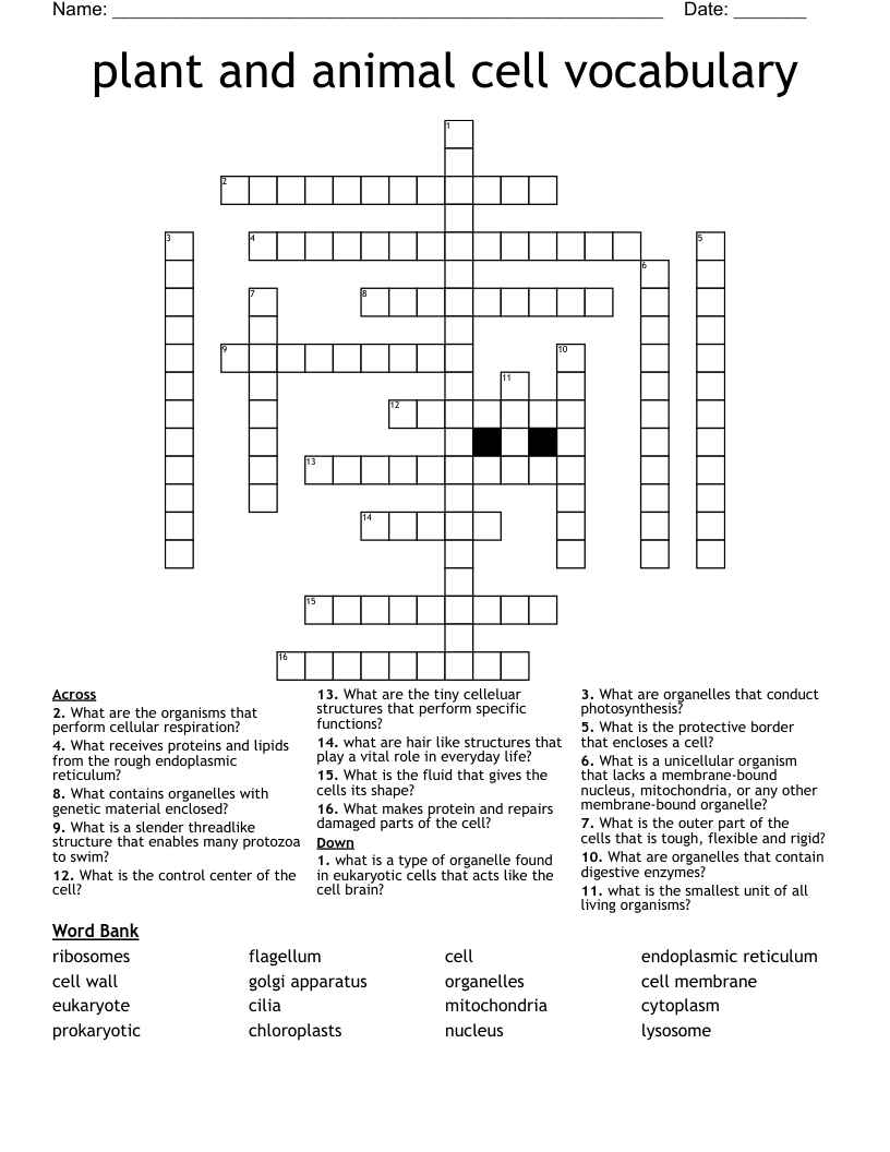 plant and animal cell vocabulary Crossword