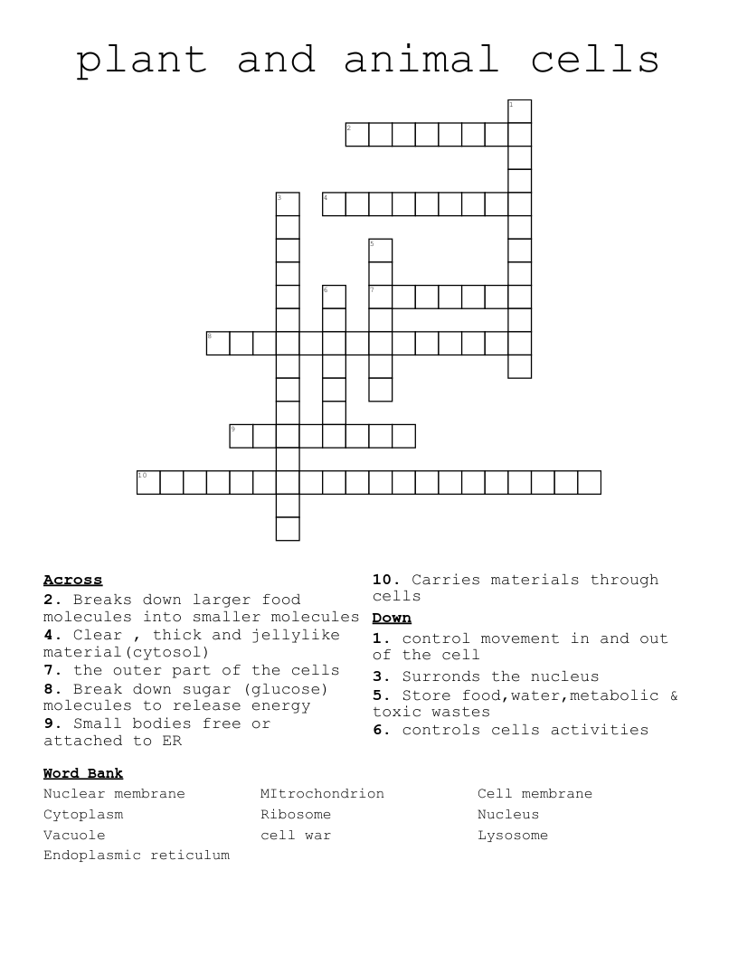 plant and animal cells Crossword