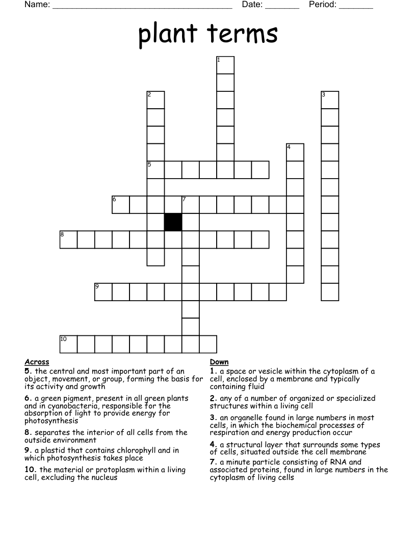 plant terms Crossword