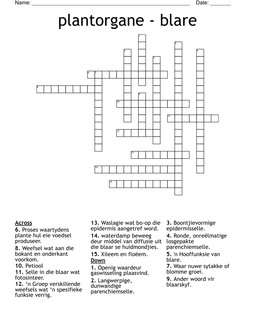 plantorgane - blare Crossword