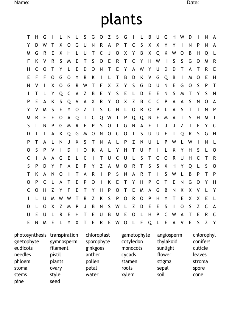 plants Word Search