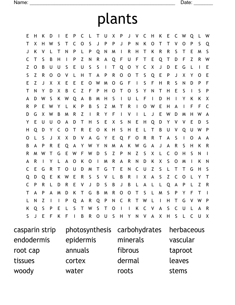 plants Word Search