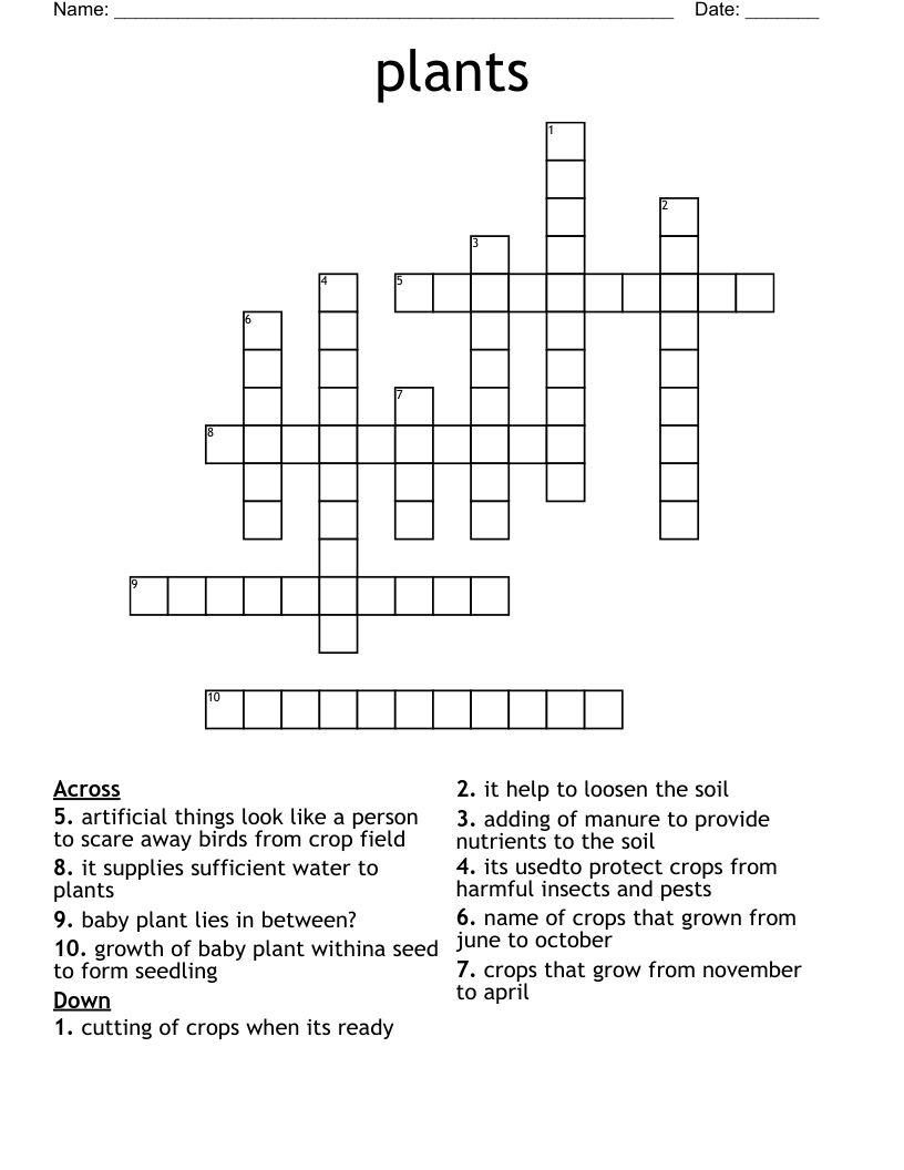 plants Crossword
