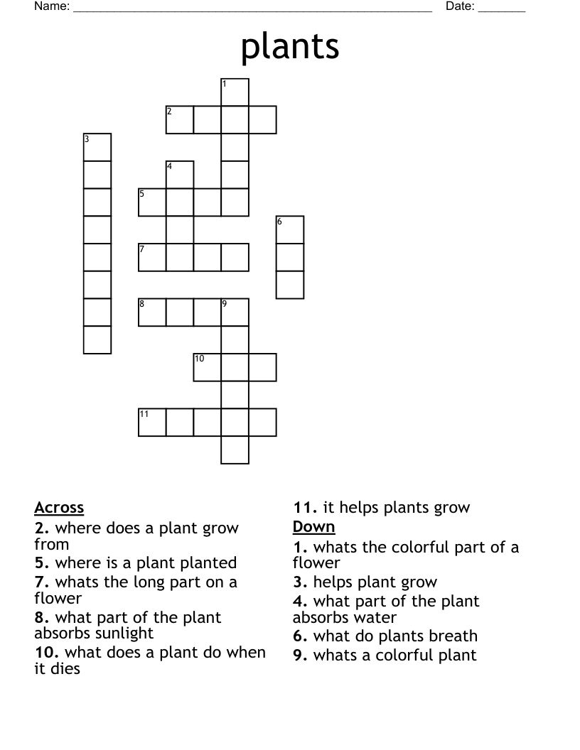 plants  Crossword