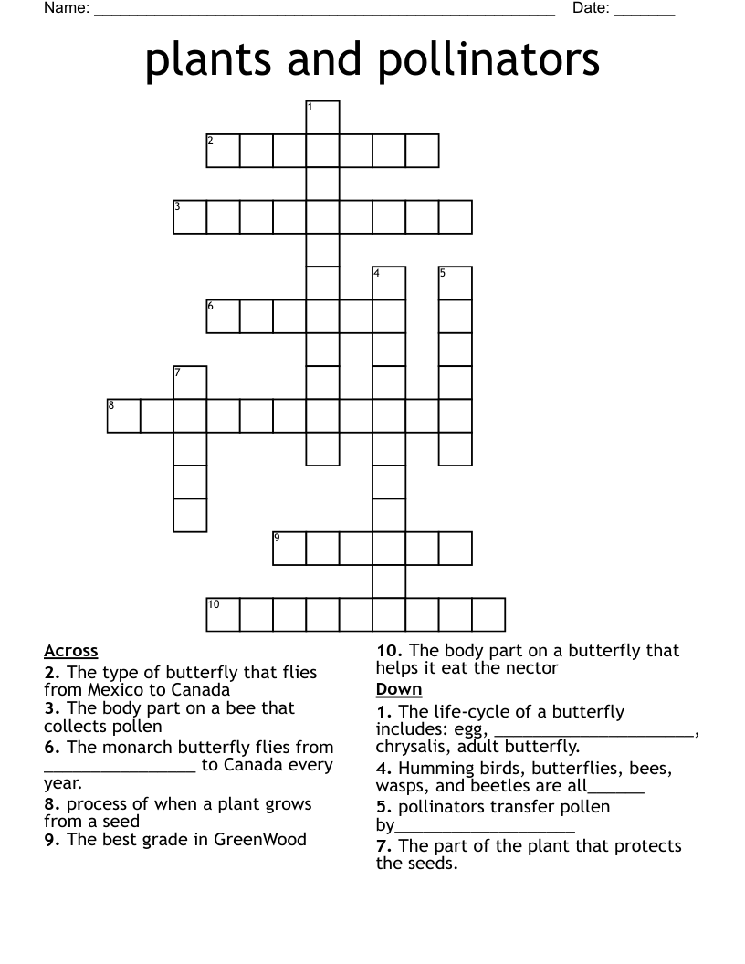 plants and pollinators Crossword