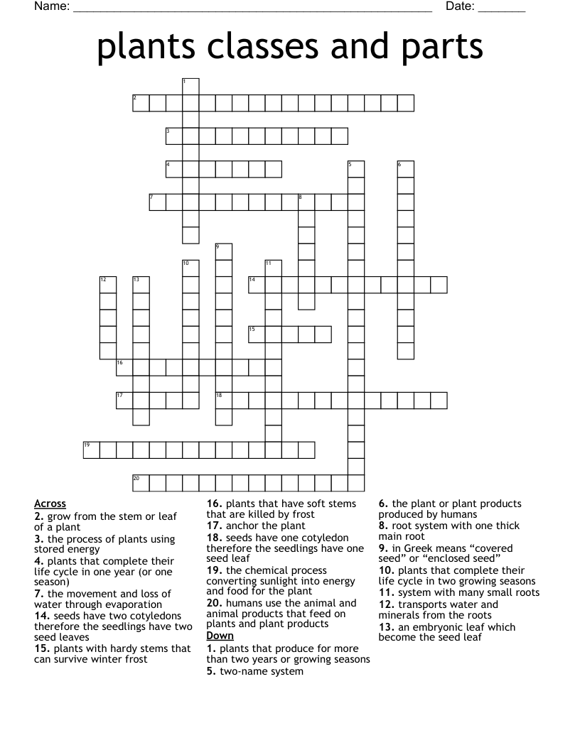 plants classes and parts Crossword