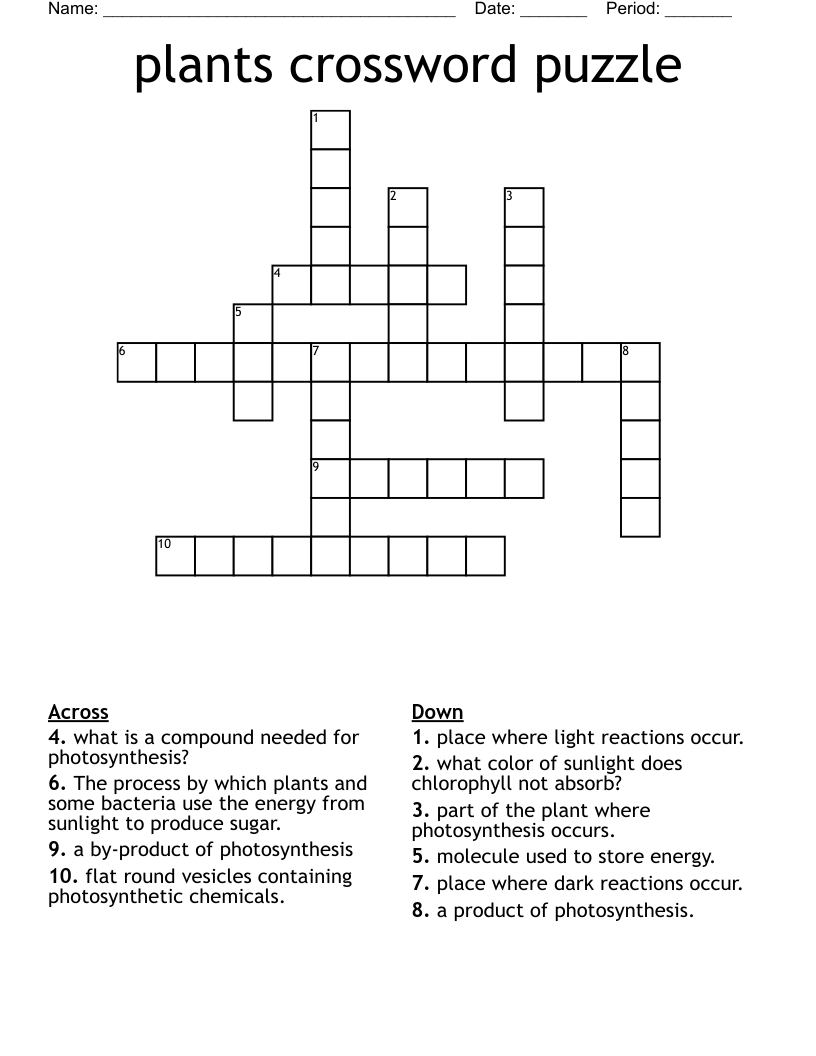 plants crossword puzzle