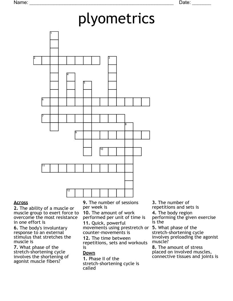 plyometrics  Crossword