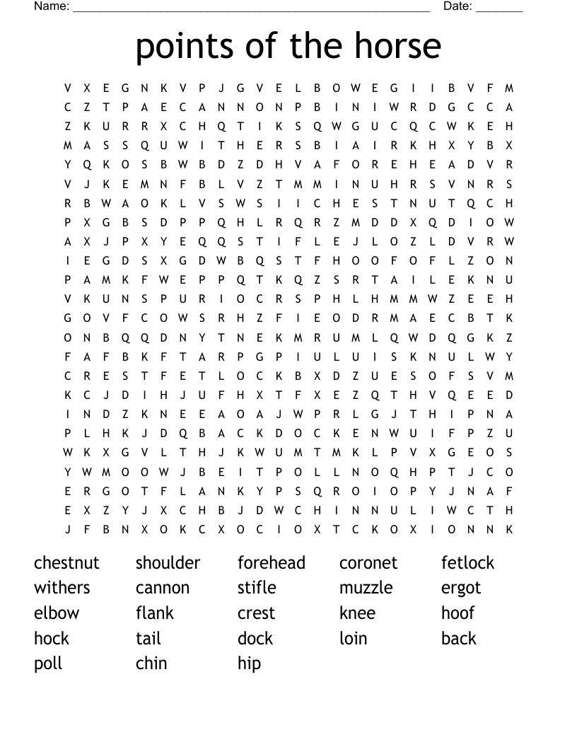 points of the horse Word Search