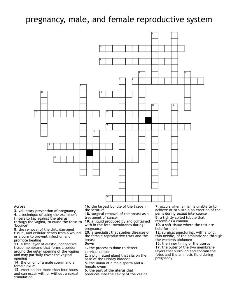 pregnancy, male, and female reproductive system  Crossword
