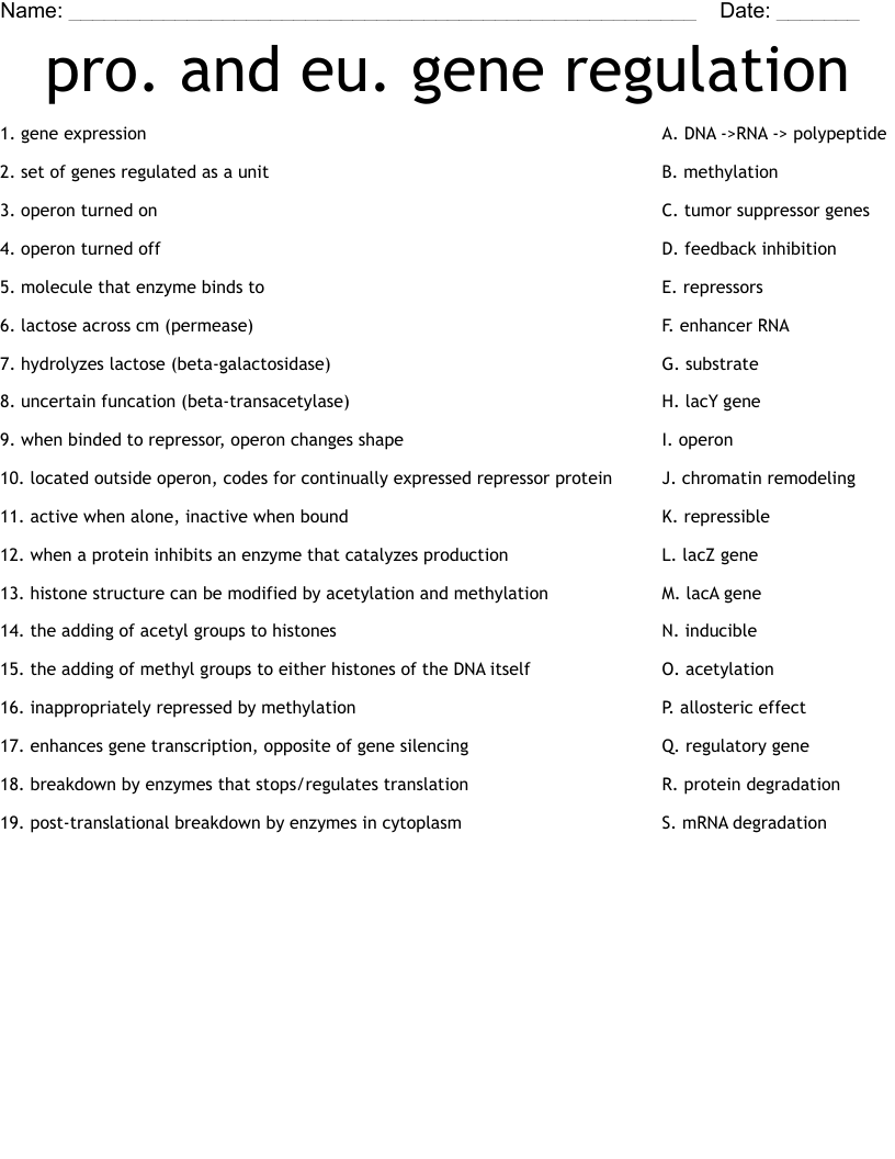 pro. and eu. gene regulation Worksheet