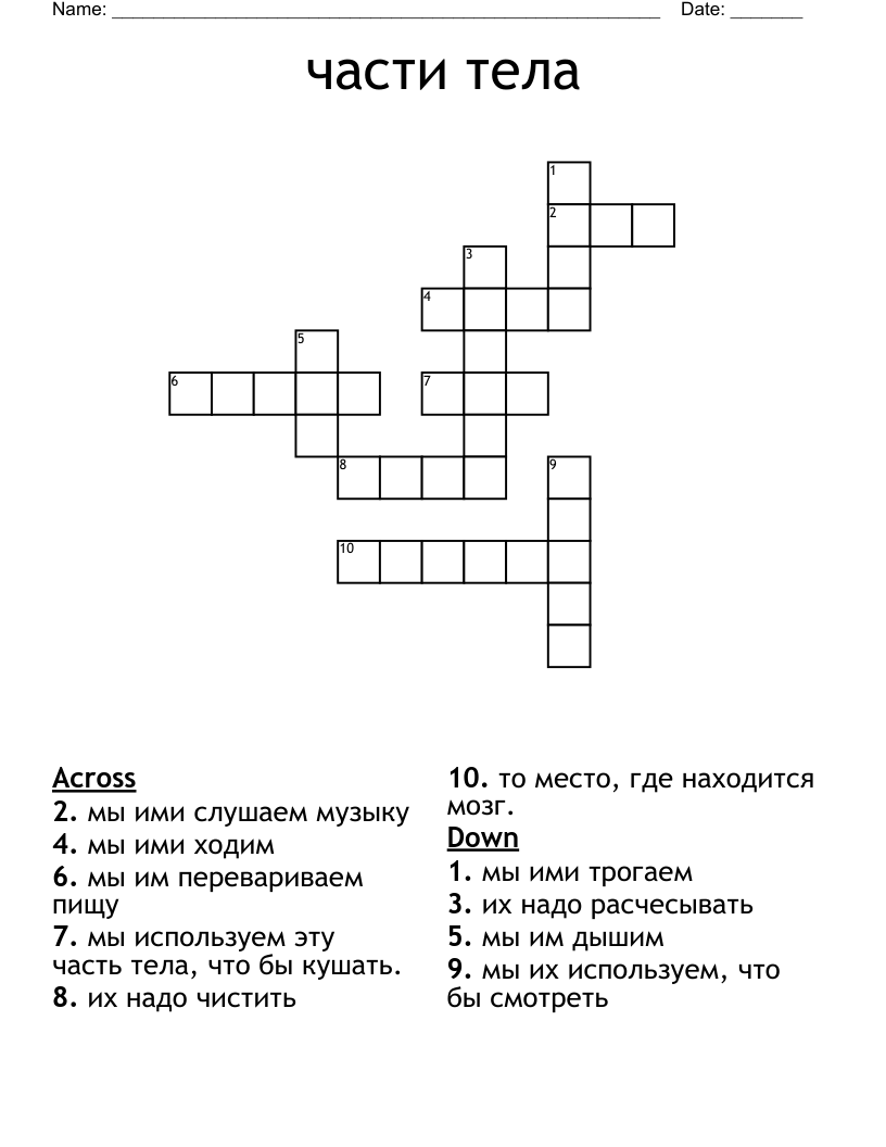 части тела Crossword