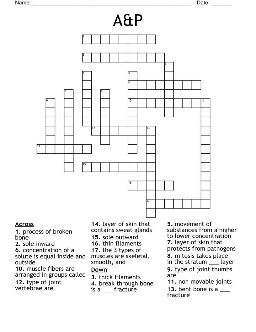A&P Crossword