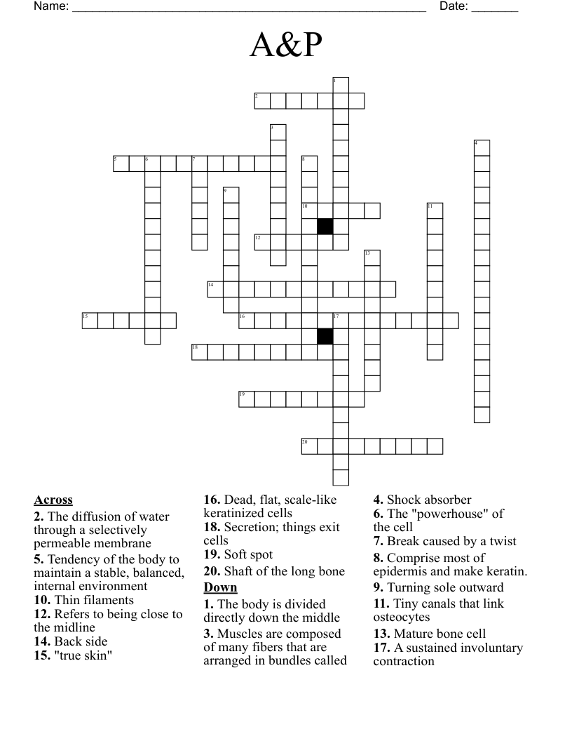 A&P Crossword