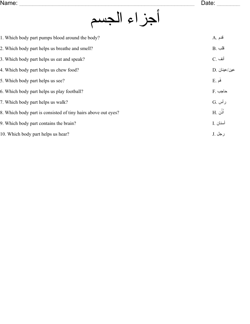 أجزاء الجسم Worksheet