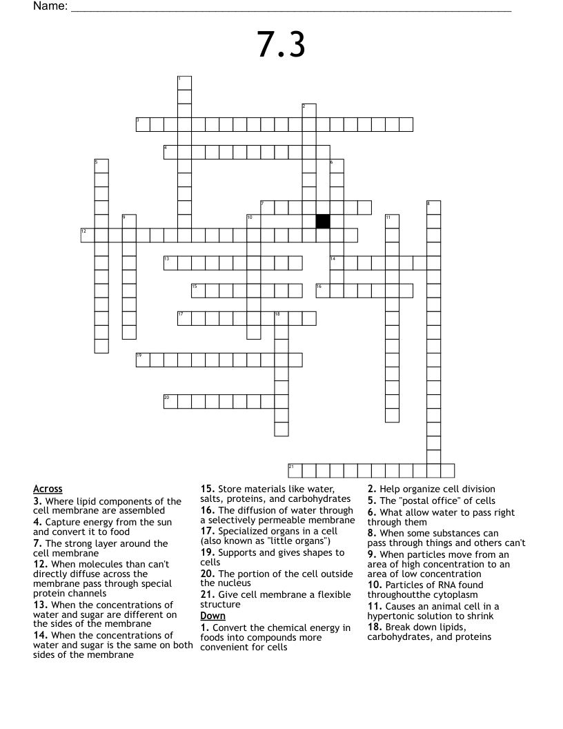 7.3 Crossword