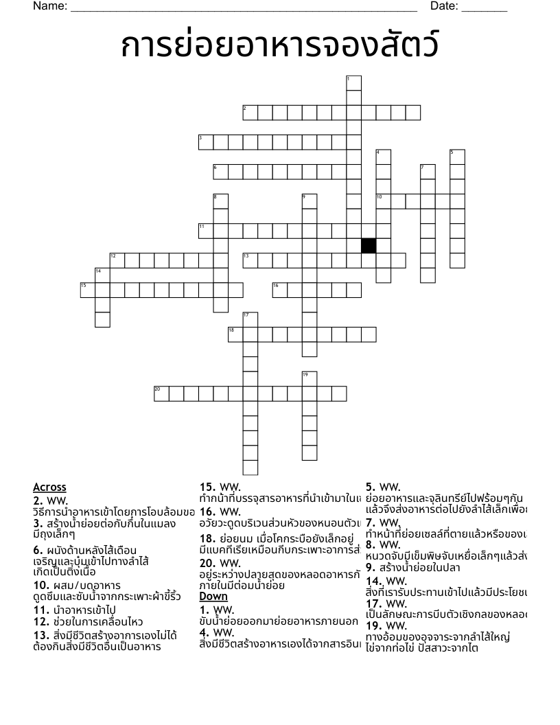 การย่อยอาหารจองสัตว์ Crossword