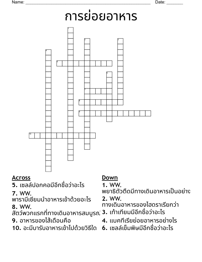 การย่อยอาหาร Crossword