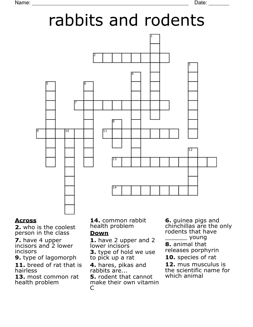 rabbits and rodents Crossword