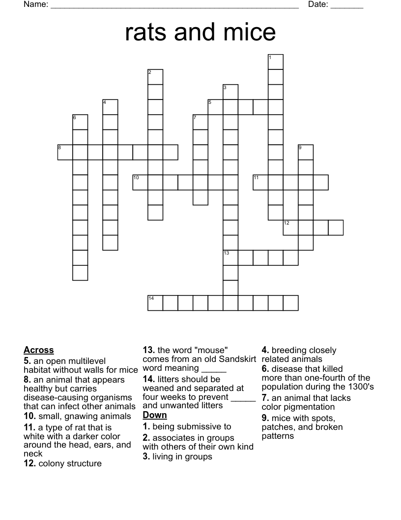 rats and mice Crossword