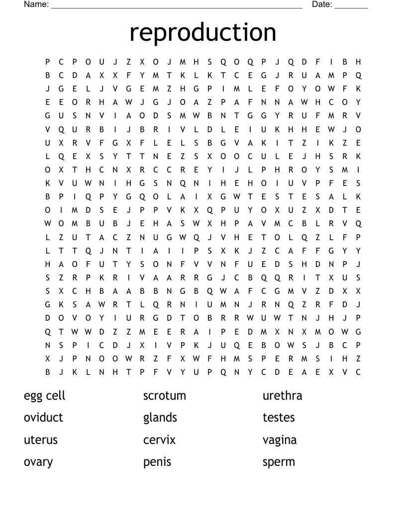 reproduction Word Search