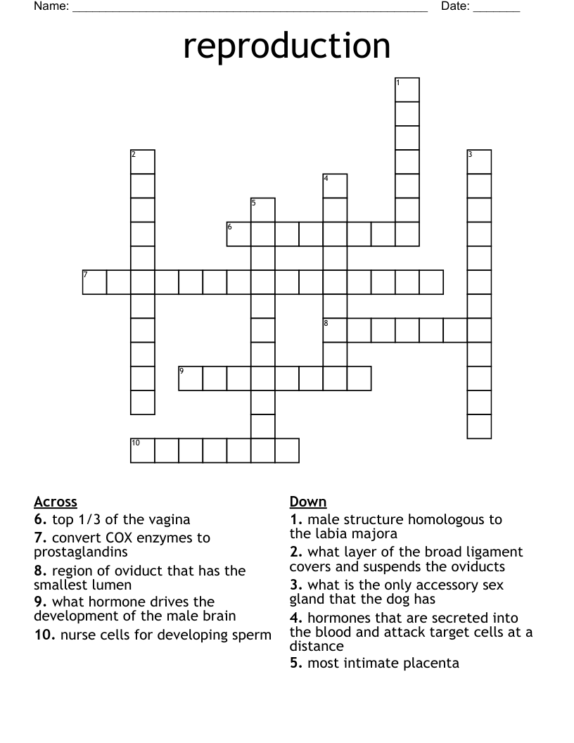 reproduction Crossword
