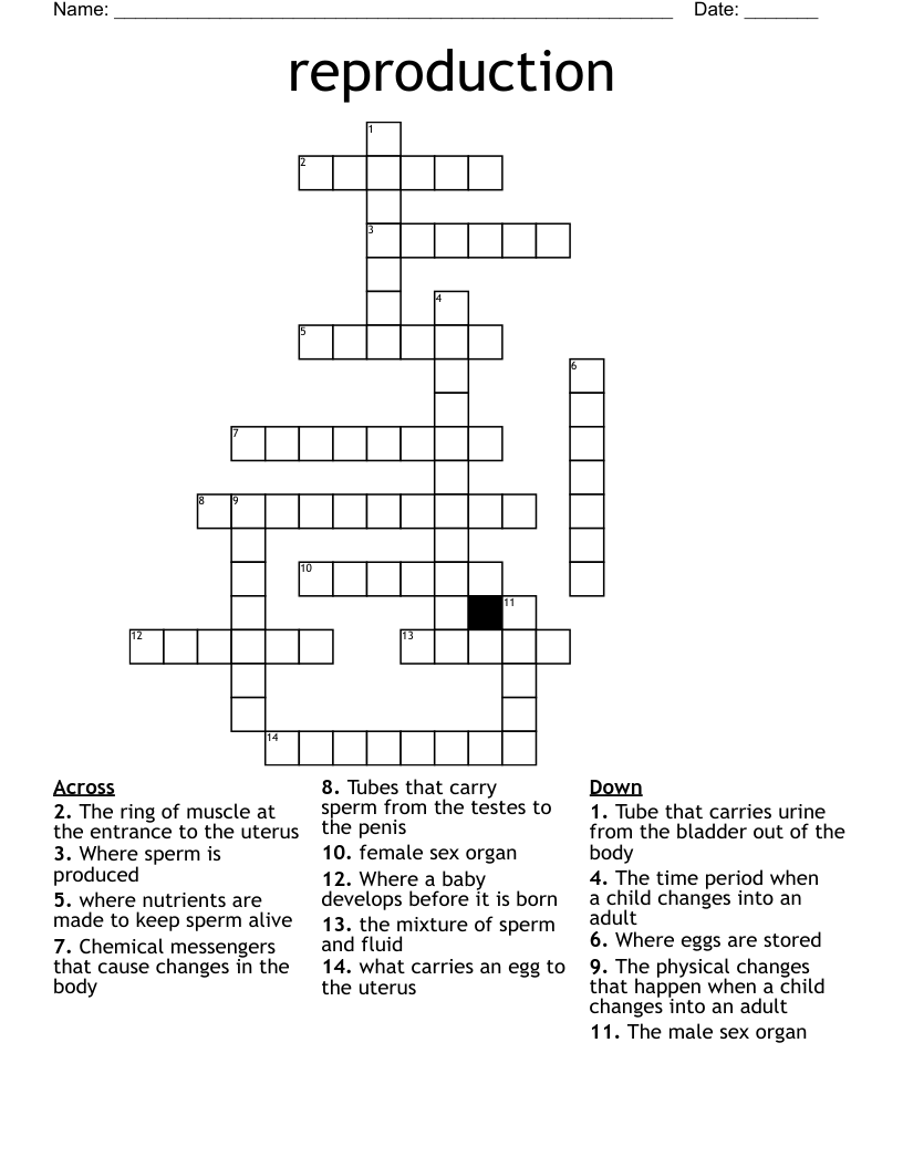reproduction Crossword