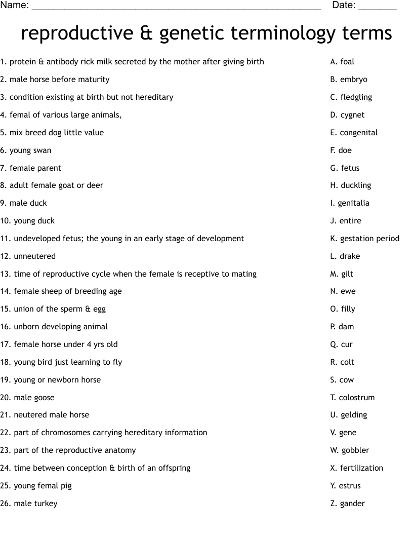 reproductive & genetic terminology terms
