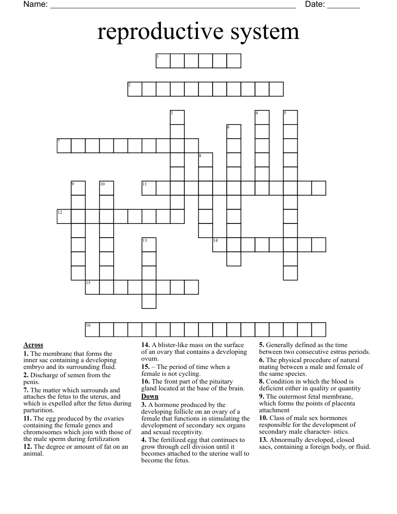 reproductive system Crossword