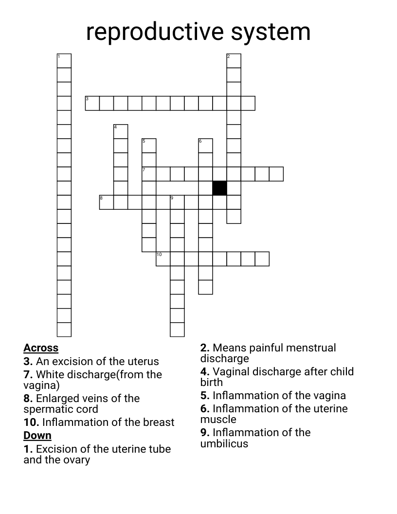 reproductive system Crossword
