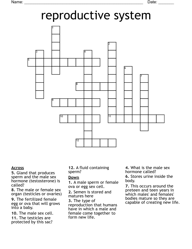 reproductive system Crossword