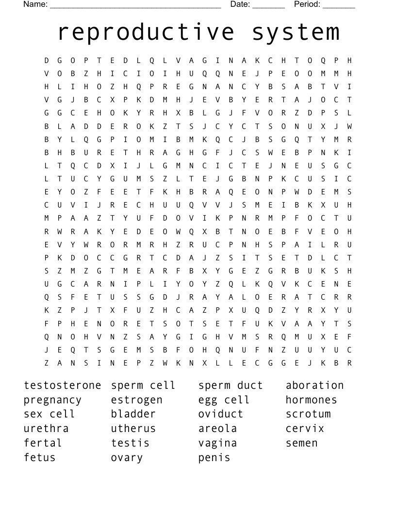 reproductive system  Word Search