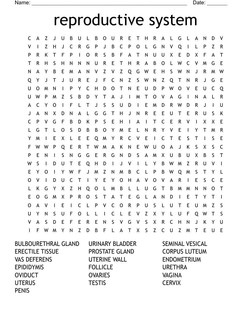 reproductive system  Word Search