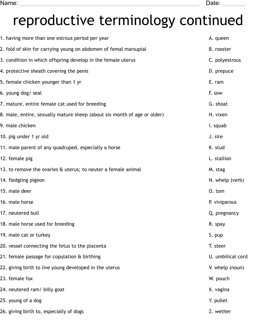 reproductive terminology continued Worksheet